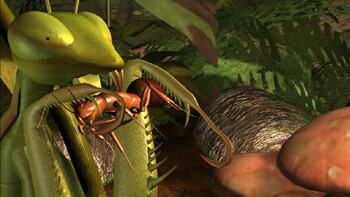 Screenshot2