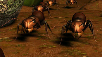 Screenshot3
