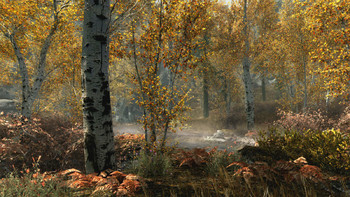 Screenshot6