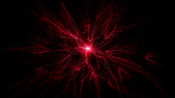 Screenshot6