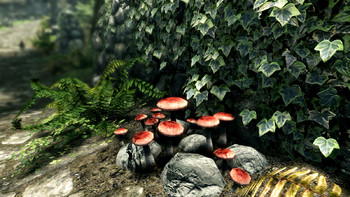 Screenshot7