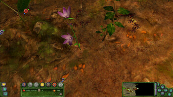 Screenshot9